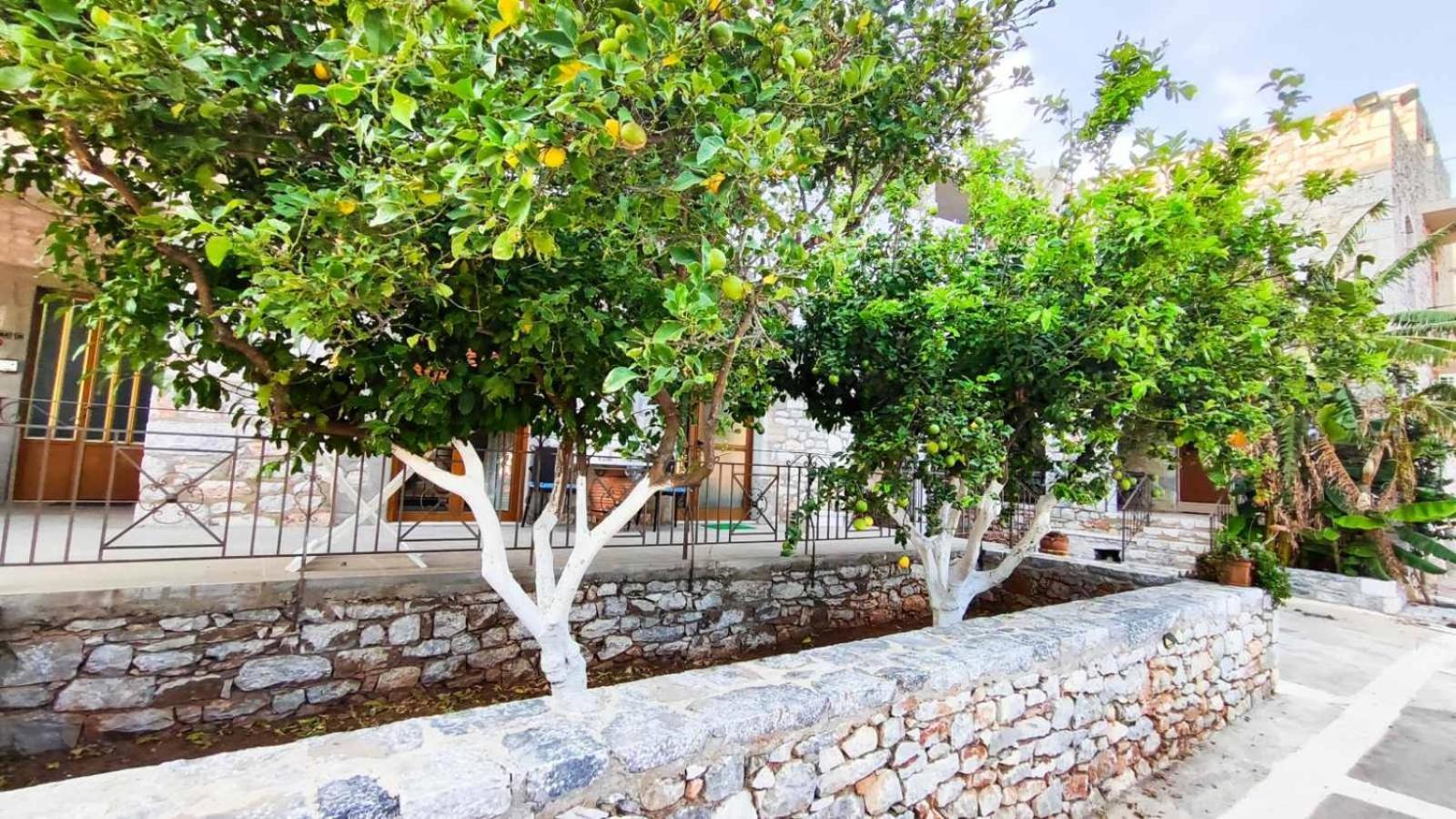 Traditional House Alepis In Areopolis Apartment *